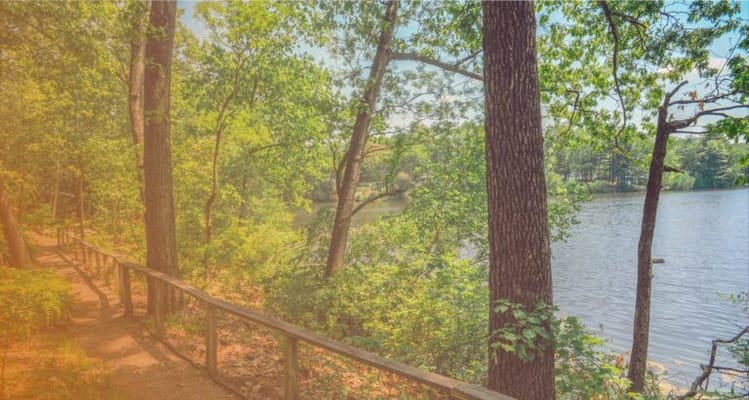 Loomis Lakeside at Reeds Landing