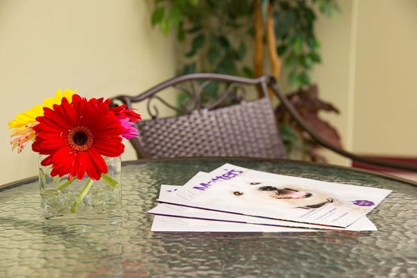 A flower vase on a table with pamphlets