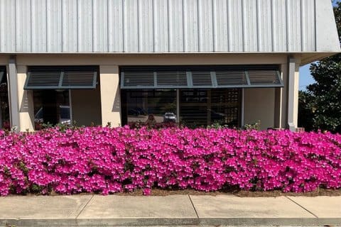 Roseview Nursing & Rehabilitation Center