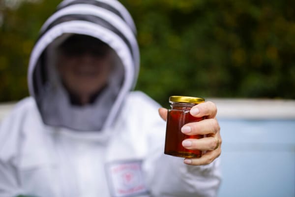 Loomis Lakeside at Reeds Landing