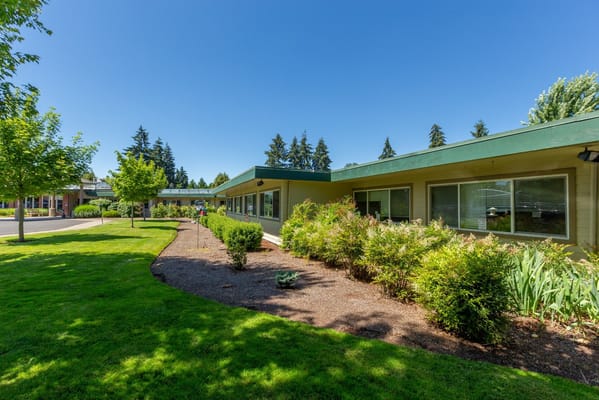 Beautiful outdoor landscaping with green grass and trees