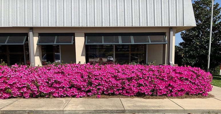 Vibrant flowers in front of the facility's exterior
