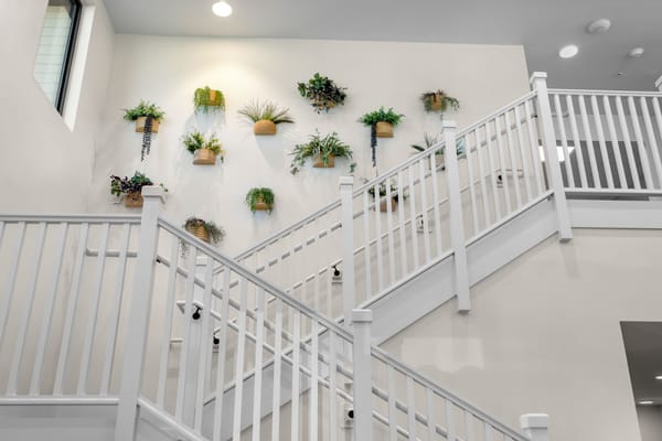 Decorative plant wall in an interior space