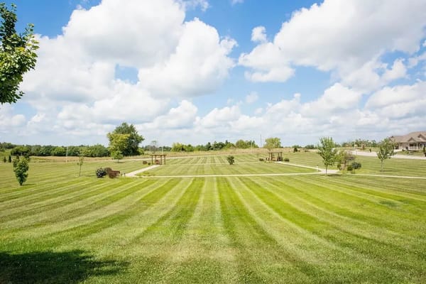 Beautifully landscaped outdoor space with manicured grass