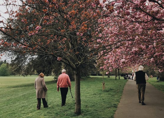 Rosewood on the Sound