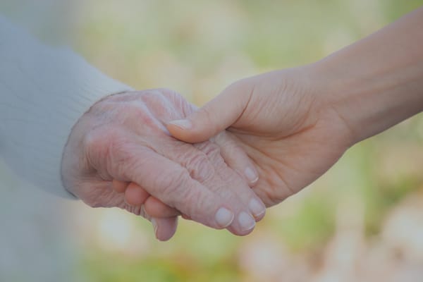 Windsor Health and Rehabilitation