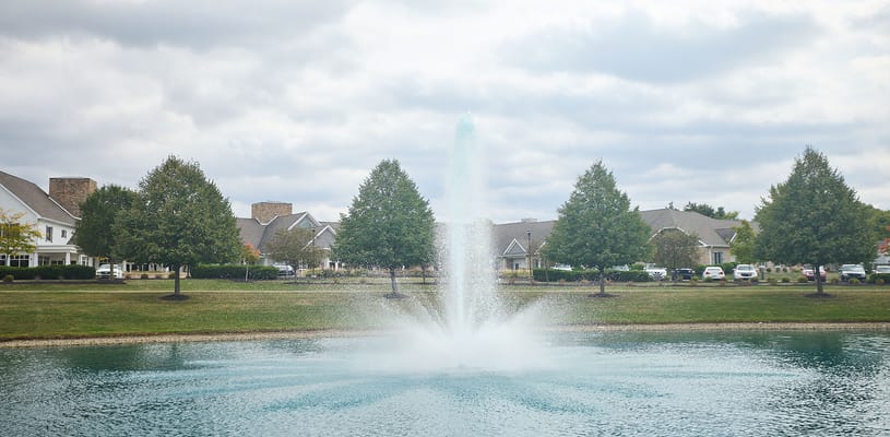 View of a serene pond with a fountain and surrounding trees
