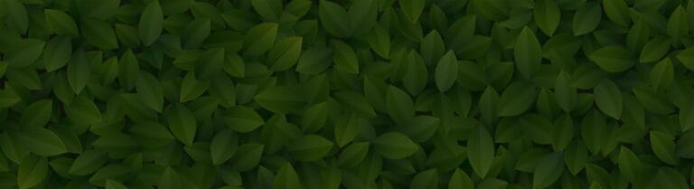 Crowne Health Care of Springhill