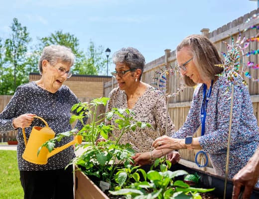 Harmony at West Ashley