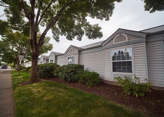 Exterior of Ascot Park Senior Living with landscaping and trees.