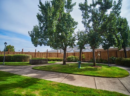 Well-maintained garden pathway with trees and benches