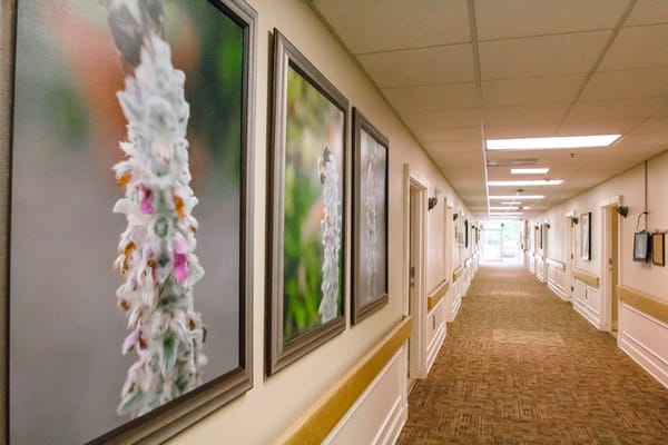 A hallway featuring framed floral photographs