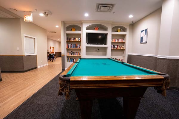 Common area with a pool table and bookshelves