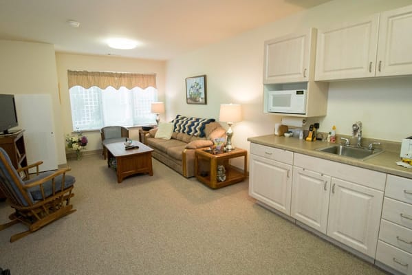 A cozy living room with a sofa, chairs, and a kitchenette.