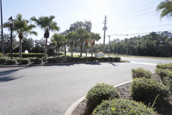 Entrance area with greenery and signage for The Windsor
