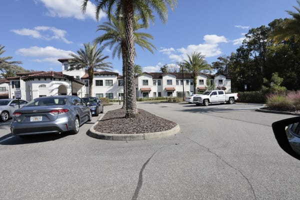 View of the parking lot with palm trees and buildings at Starling at San Jose.