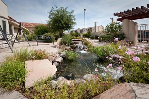 Beautiful landscaped outdoor area with a water feature