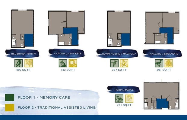 Architectural floor plan of assisted living units