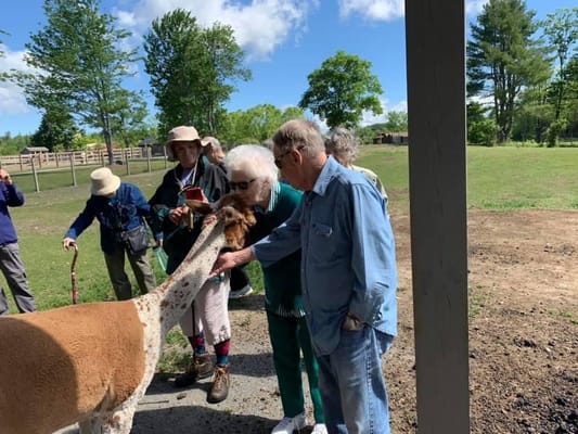 Residents interacting with an animal in an outdoor space