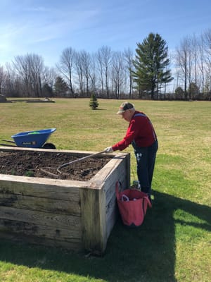 An elderly man gardening in a raised bed