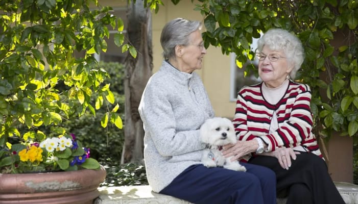 Two senior women sitting outdoors with a small dog