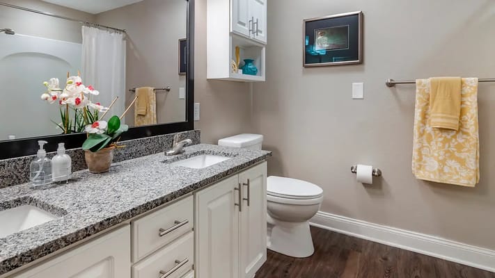 Modern bathroom interior with granite countertops