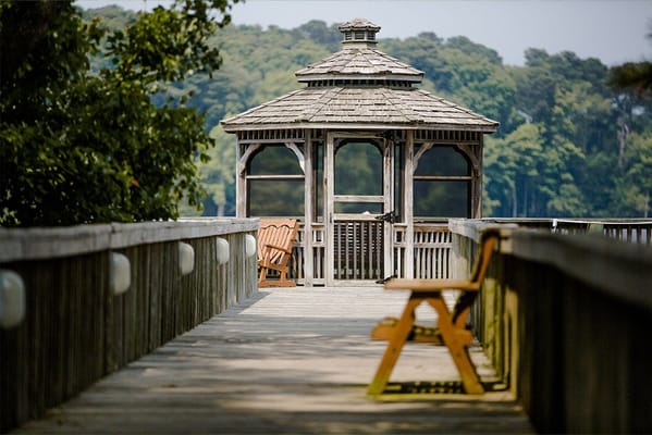 Wooden gazebo on a boardwalk surrounded by greenery