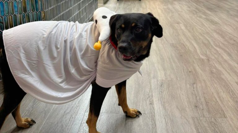 Arbor Oaks Healthcare and Rehabilitation Center