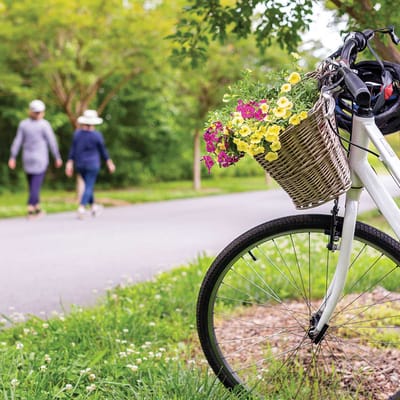 The Woodlands at Furman