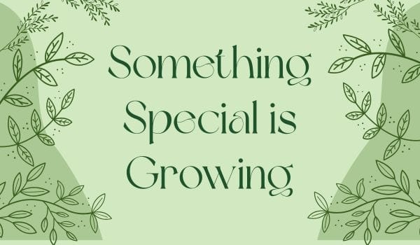 Overture at Buckhead South