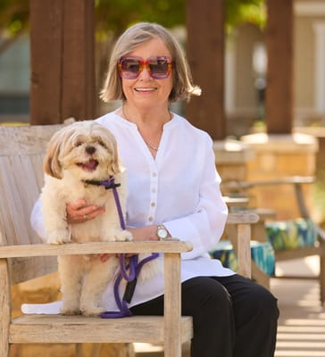 The Village at The Triangle