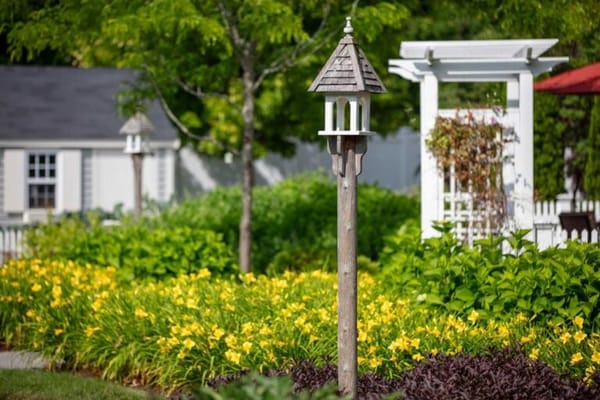 Garden with flowers and a decorative lantern