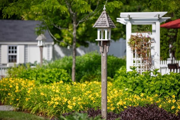 Garden with flowers and a decorative lantern