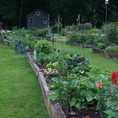 A vibrant garden space with flower beds