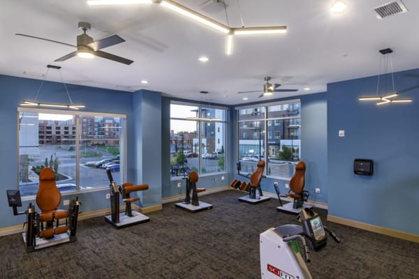 Fitness area equipped with exercise machines