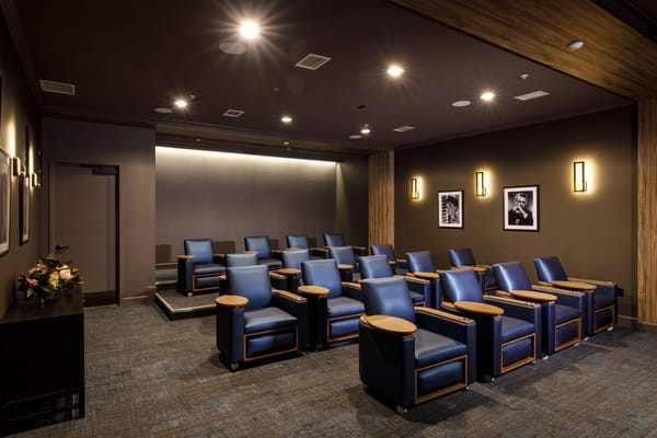 Cozy theater room with blue reclining chairs