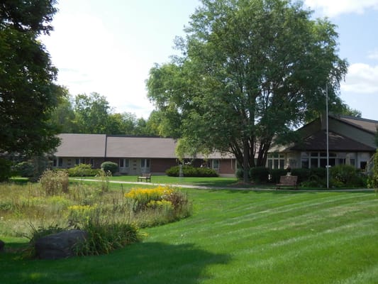 Peaceful outdoor garden with trees and benches