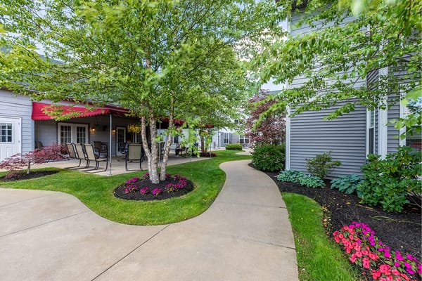 Pathway through a beautifully landscaped outdoor space