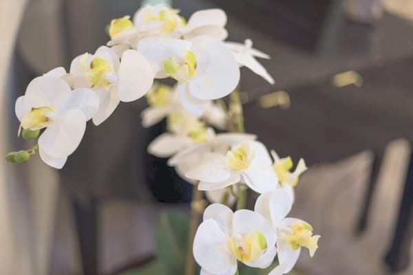 Crystal Place Retirement