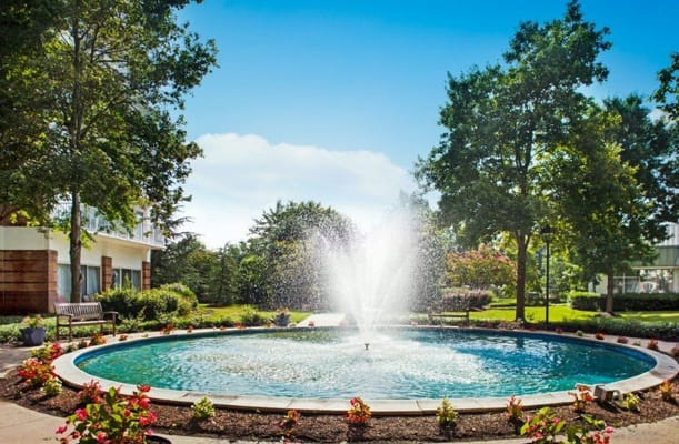 A serene outdoor fountain surrounded by greenery
