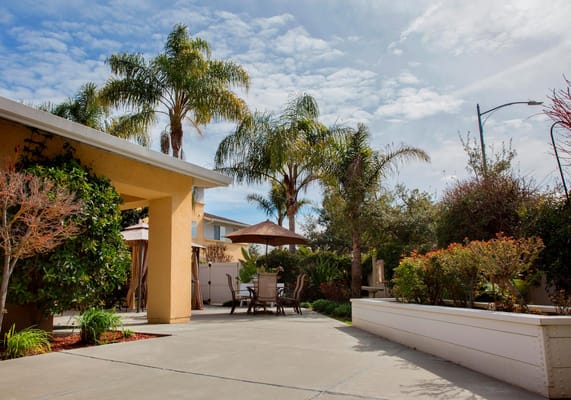 Sunny outdoor space with palm trees and seating area