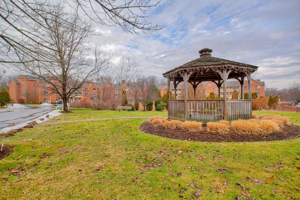 Wooden gazebo surrounded by grass and shrubs