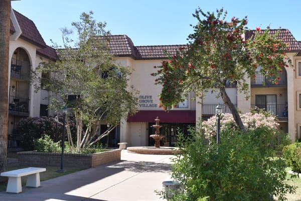 View of the courtyard featuring a fountain and surrounding greenery at Olive Grove Assisted Living.