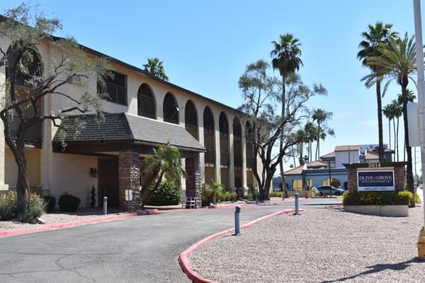 Front view of Olive Grove Assisted Living with palm trees and sign