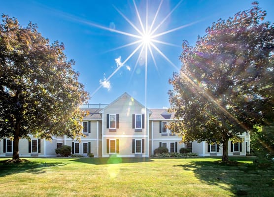 Bright exterior view of East Village Place with trees and sunlight