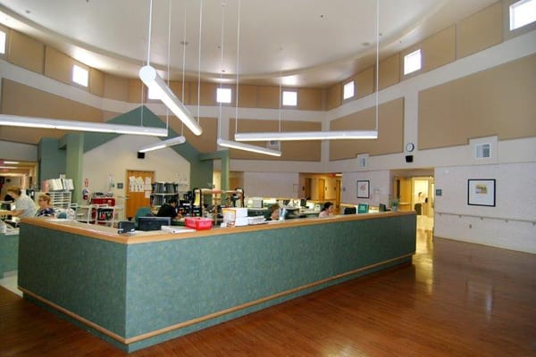 Bright nursing station with staff members at work