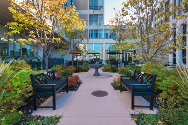 Garden area with benches and green landscaping