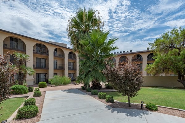View of the courtyard with palm trees and greenery at Olive Grove Assisted Living