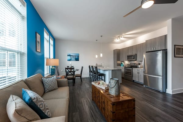 Bright living room and kitchen with modern furnishings