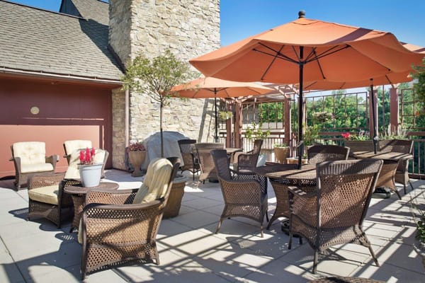 Cozy outdoor seating with umbrellas and potted plants